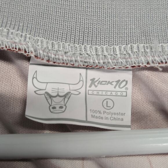 Chicago Bulls Kick 10 Alex Caruso Player Series Jersey Corona Patch Size Large - Picture 4 of 9